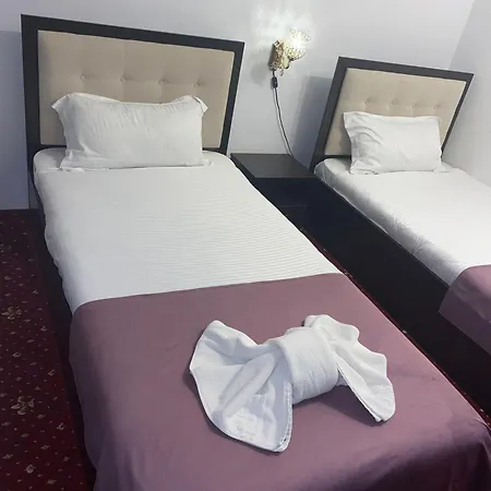 호텔 Noe 티미쇼아라