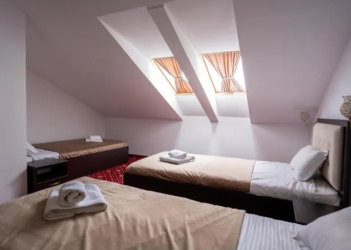 Noe 3* 蒂米什瓦拉